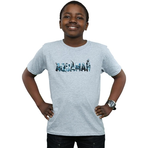 textil Niño Camisetas manga corta Dc Comics Aquaman Text Logo Gris