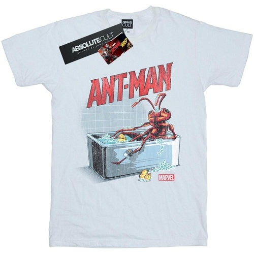 textil Niña Camisetas manga larga Marvel Ant-Man And The Wasp Bathing Ant Blanco