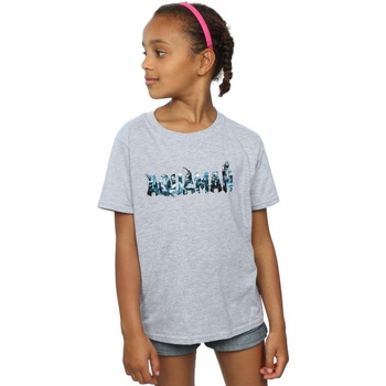 textil Niña Camisetas manga larga Dc Comics Aquaman Text Logo Gris