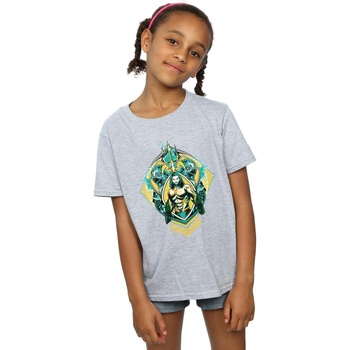 textil Niña Camisetas manga larga Dc Comics Aquaman The Trench Crest Gris