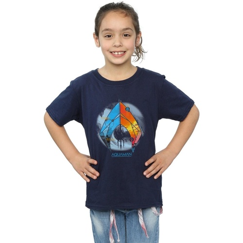 textil Niña Camisetas manga larga Dc Comics Aquaman Tropical Logo Azul