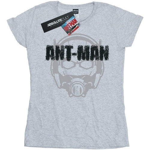 textil Mujer Camisetas manga larga Marvel Ant-Man Helmet Fade Gris