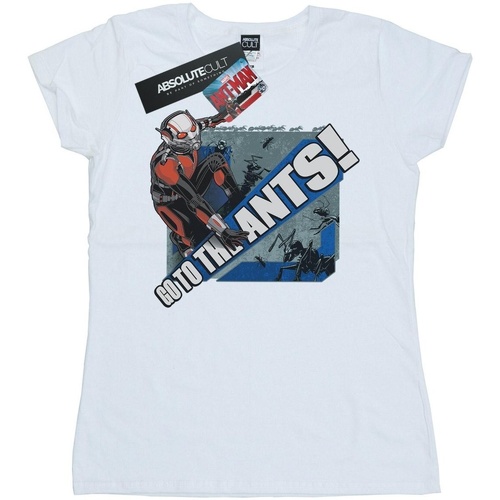 textil Mujer Camisetas manga larga Marvel Ant-Man Go To The Ants Blanco