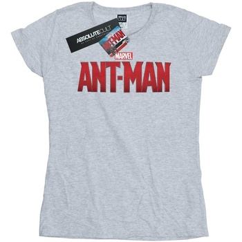 textil Mujer Camisetas manga larga Marvel Ant-Man Movie Logo Gris