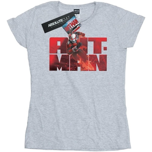 textil Mujer Camisetas manga larga Marvel Ant-Man Running Gris