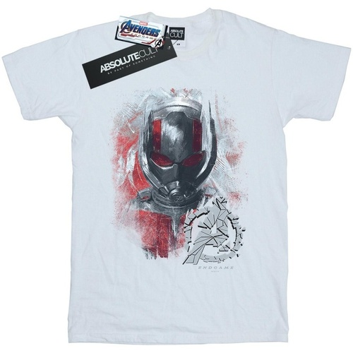textil Hombre Camisetas manga larga Marvel Avengers Endgame Ant-Man Brushed Blanco
