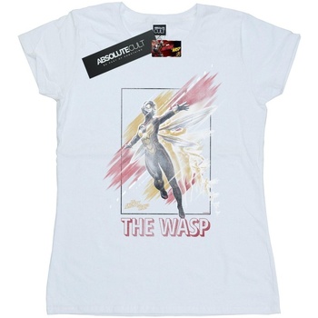 textil Mujer Camisetas manga larga Marvel Ant-Man And The Wasp Framed Wasp Blanco