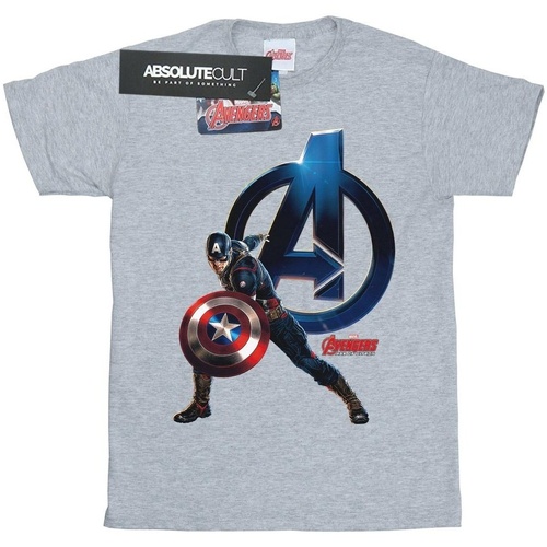 textil Niña Camisetas manga larga Marvel Captain America Pose Gris