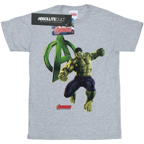 textil Niña Camisetas manga larga Marvel Hulk Pose Gris