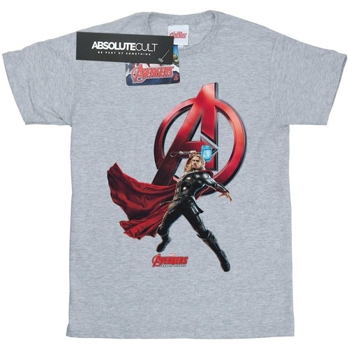 textil Niña Camisetas manga larga Marvel Thor Pose Gris