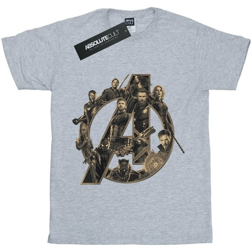 textil Niña Camisetas manga larga Marvel Avengers Infinity War  Logo Gris