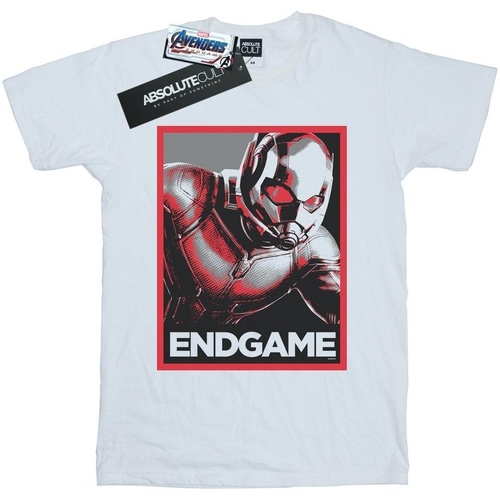 textil Hombre Camisetas manga larga Marvel Avengers Endgame Ant-Man Poster Blanco
