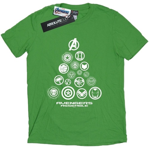 textil Mujer Camisetas manga larga Marvel Avengers Endgame Pyramid Icons Verde