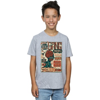 textil Niño Camisetas manga corta Big Bang Theory  Gris