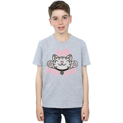 textil Niño Camisetas manga corta Big Bang Theory Soft Kitty Purr Gris