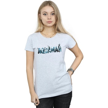 textil Mujer Camisetas manga larga Dc Comics Aquaman Text Logo Gris