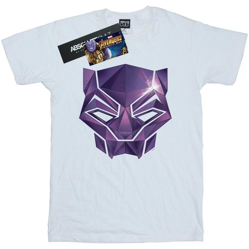 textil Niña Camisetas manga larga Marvel Avengers Infinity War Black Panther Geometric Blanco