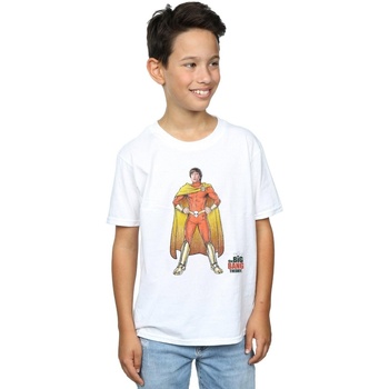 textil Niño Camisetas manga corta The Big Bang Theory  Blanco