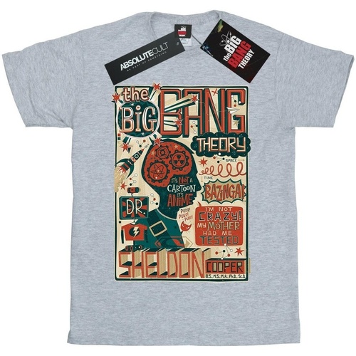 textil Niña Camisetas manga larga Big Bang Theory Infographic Poster Gris