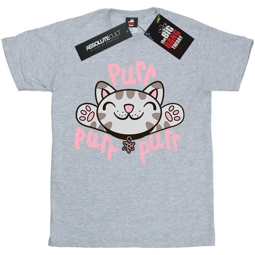 textil Niña Camisetas manga larga Big Bang Theory Soft Kitty Purr Gris