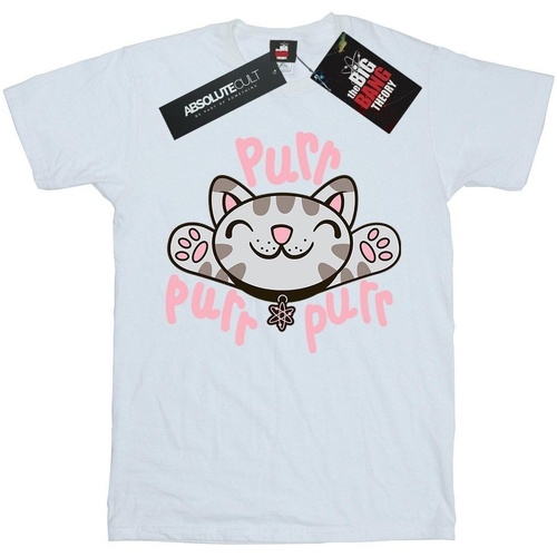 textil Niña Camisetas manga larga Big Bang Theory Soft Kitty Purr Blanco