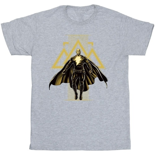 textil Niño Camisetas manga corta Dc Comics Black Adam Rising Golden Symbols Gris