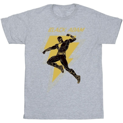 textil Niño Camisetas manga corta Dc Comics Black Adam Golden Bolt Chest Gris