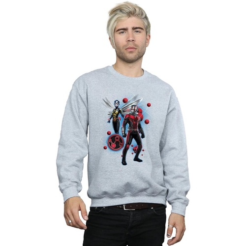 textil Hombre Sudaderas Marvel Ant-Man And The Wasp Particle Pose Gris