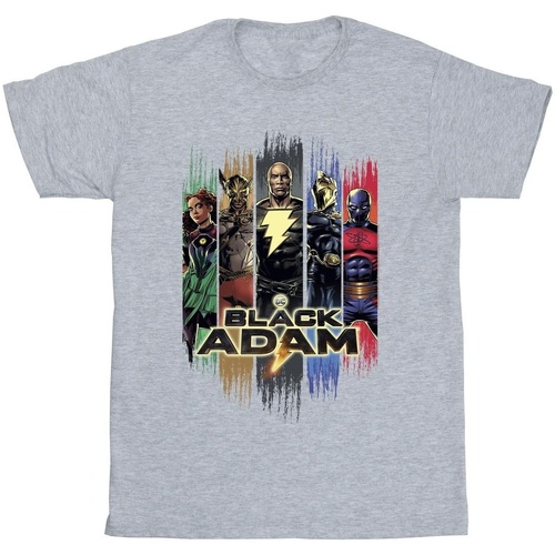 textil Niña Camisetas manga larga Dc Comics Black Adam JSA Complete Group Gris