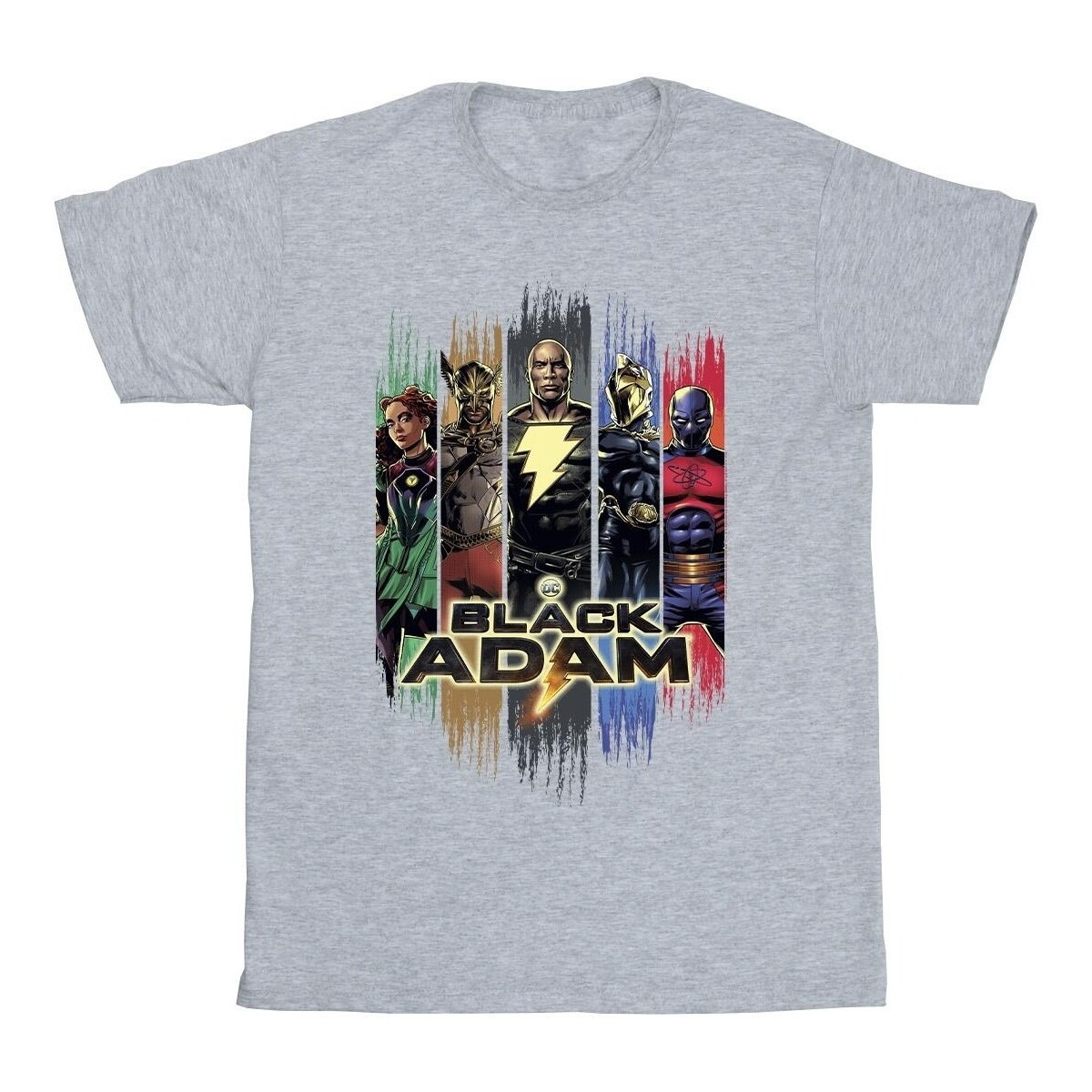 textil Niña Camisetas manga larga Dc Comics Black Adam JSA Complete Group Gris