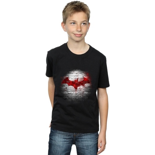 textil Niño Camisetas manga corta Dc Comics Batman Logo Wall Negro