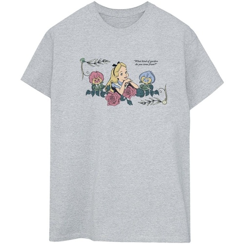 textil Mujer Camisetas manga larga Disney Alice In Wonderland What Kind Of Garden Gris