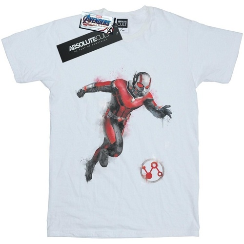 textil Hombre Camisetas manga larga Marvel Avengers Endgame Painted Ant-Man Blanco