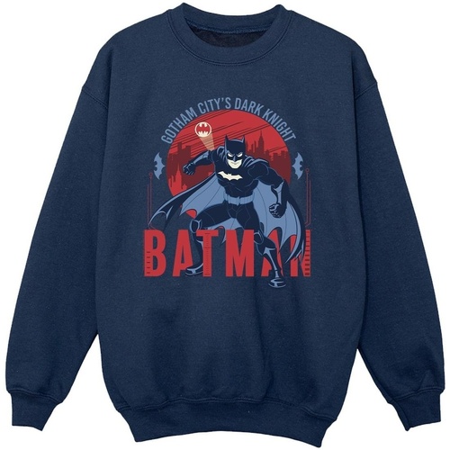 textil Niña Sudaderas Dc Comics Batman Gotham City Azul