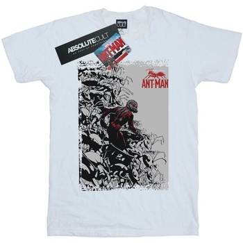textil Mujer Camisetas manga larga Marvel Ant-Man Army Blanco