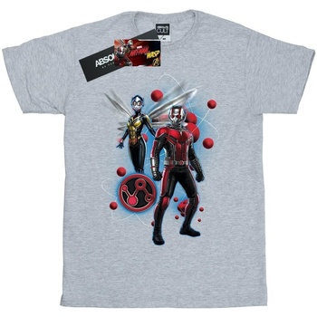 textil Mujer Camisetas manga larga Marvel Ant-Man And The Wasp Particle Pose Gris