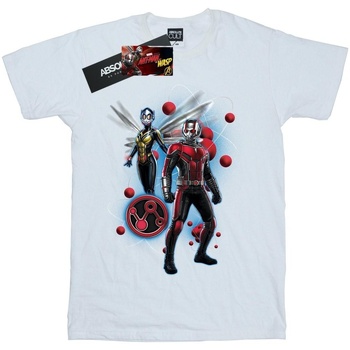 textil Mujer Camisetas manga larga Marvel Ant-Man And The Wasp Particle Pose Blanco