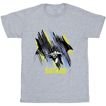 textil Niña Camisetas manga larga Dc Comics Batman Flying Batman Gris