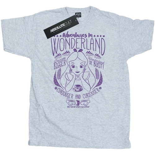 textil Hombre Camisetas manga larga Disney Alice In Wonderland Adventures In Wonderland Gris