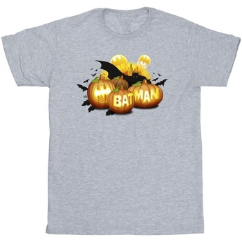 textil Niño Camisetas manga corta Dc Comics Batman Pumpkins Gris