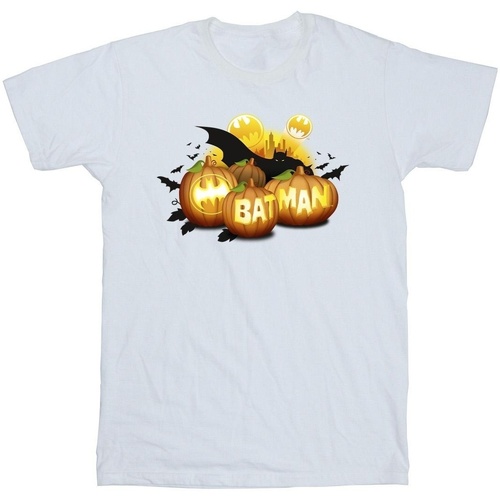 textil Niño Camisetas manga corta Dc Comics Batman Pumpkins Blanco