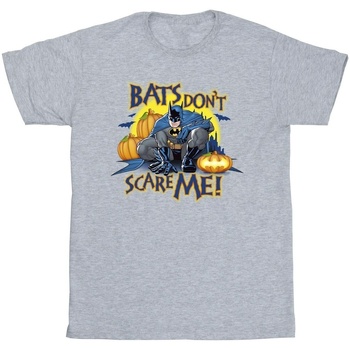 textil Niño Camisetas manga corta Dc Comics Batman Bats Don't Scare Me Gris