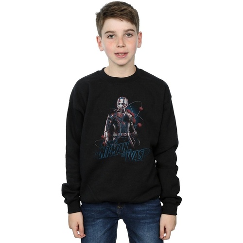 textil Niño Sudaderas Marvel Ant-Man And The Wasp Lab Pose Negro