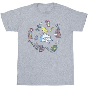 textil Niño Camisetas manga corta Disney Alice In Wonderland Falling Gris