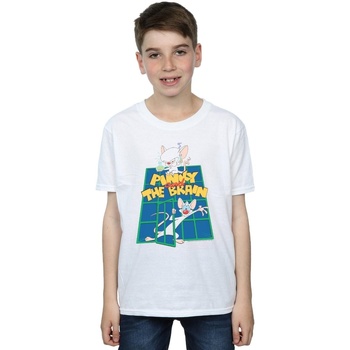 textil Niño Camisetas manga corta Animaniacs  Blanco