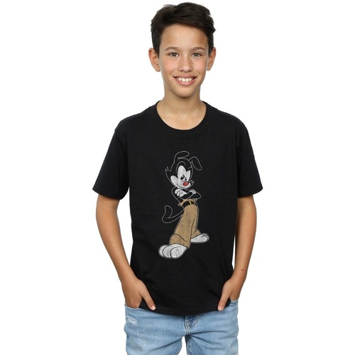 textil Niño Tops y Camisetas Animaniacs Yakko Classic Pose Negro