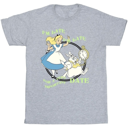textil Niña Camisetas manga larga Disney Alice In Wonderland I'm Late Gris