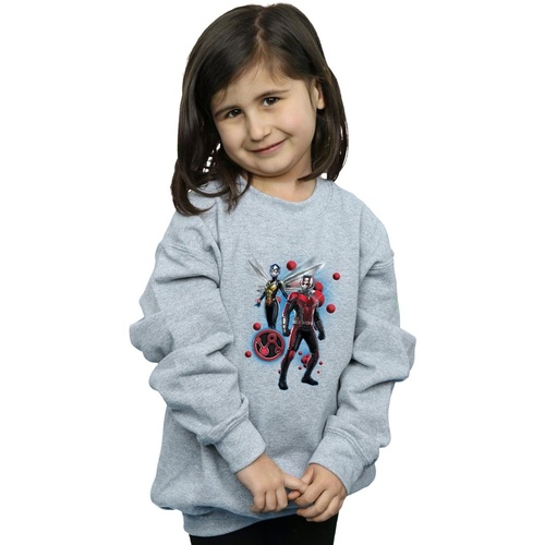 textil Niña Sudaderas Marvel Ant-Man And The Wasp Particle Pose Gris