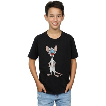 textil Niño Camisetas manga corta Animaniacs  Negro