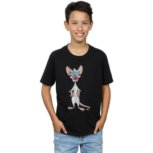 textil Niño Tops y Camisetas Animaniacs Pinky Classic Pose Negro